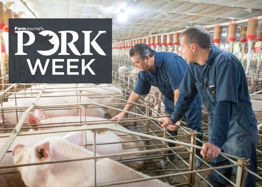 Pork Producers Face a Bleak Profitability Picture | Pork Business